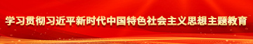 艹bb导航学习贯彻习近平新时代中国特色社会主义思想主题教育